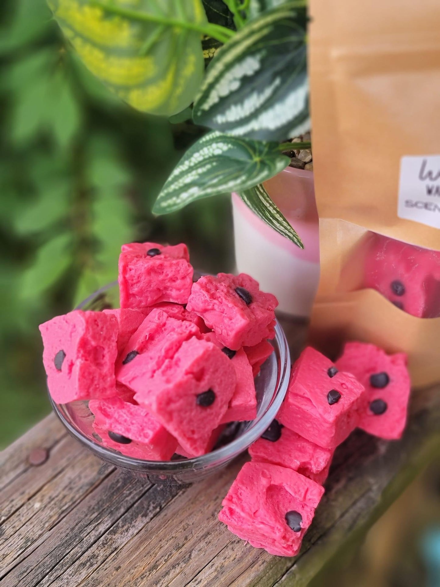 Watermelon Bites Wax Melts - 6 count